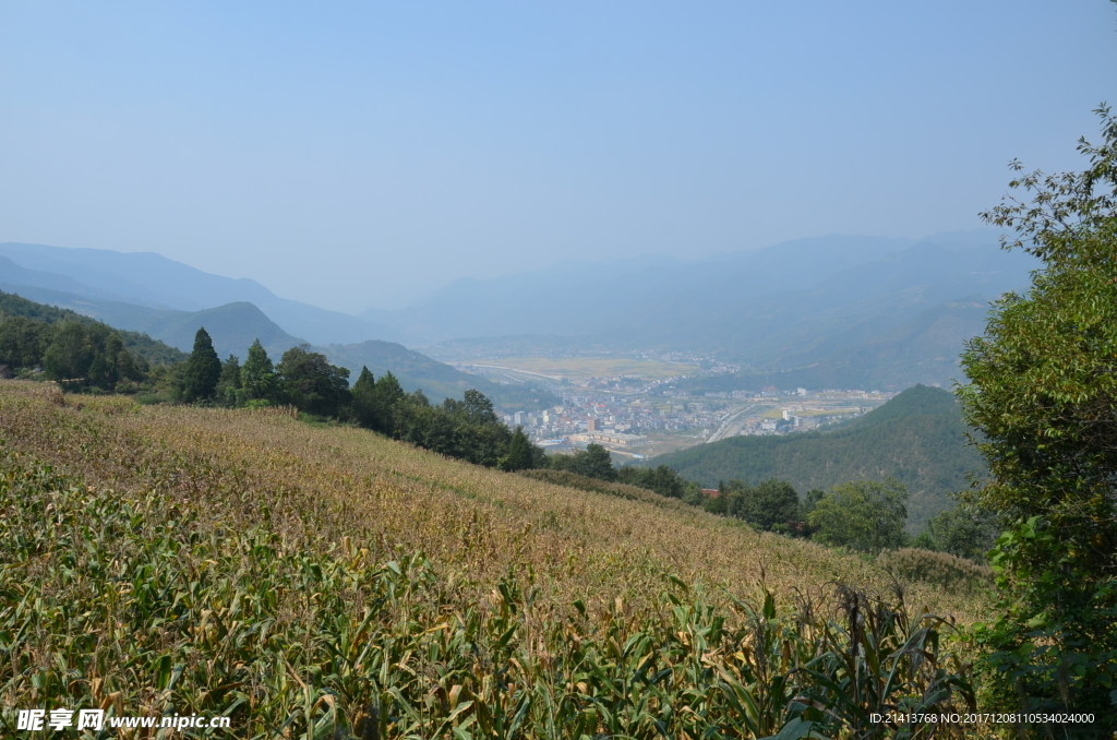 乡村