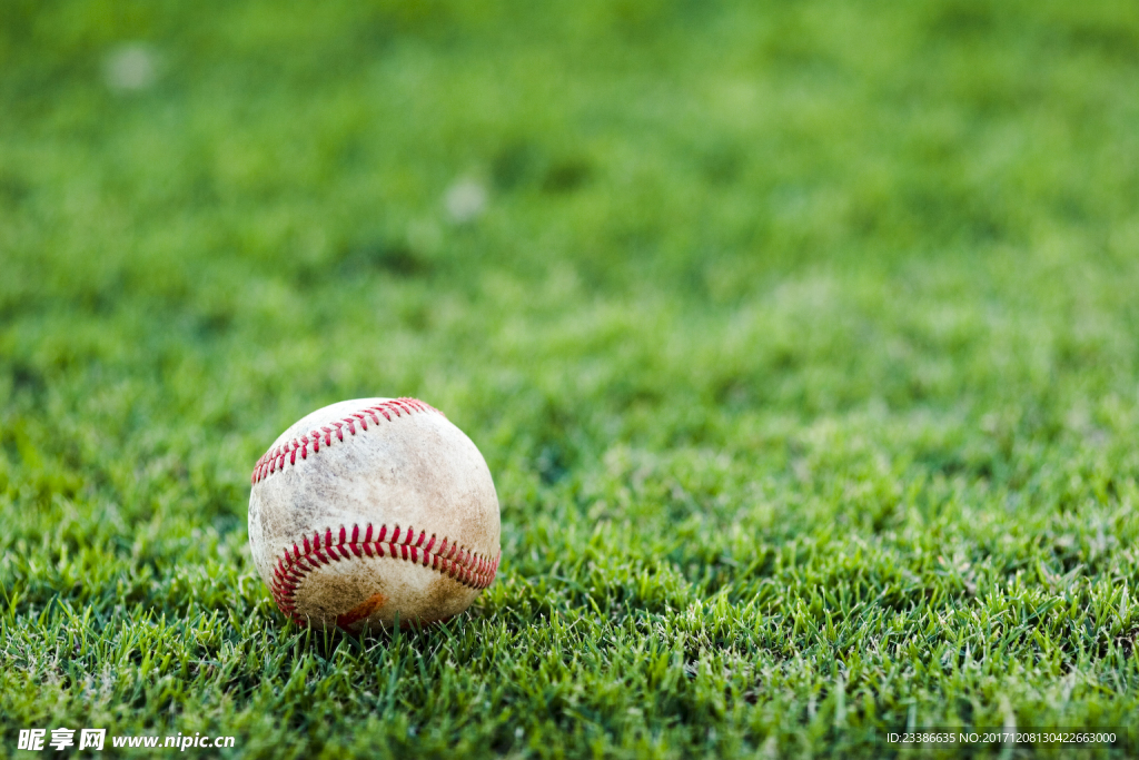 棒球与草地