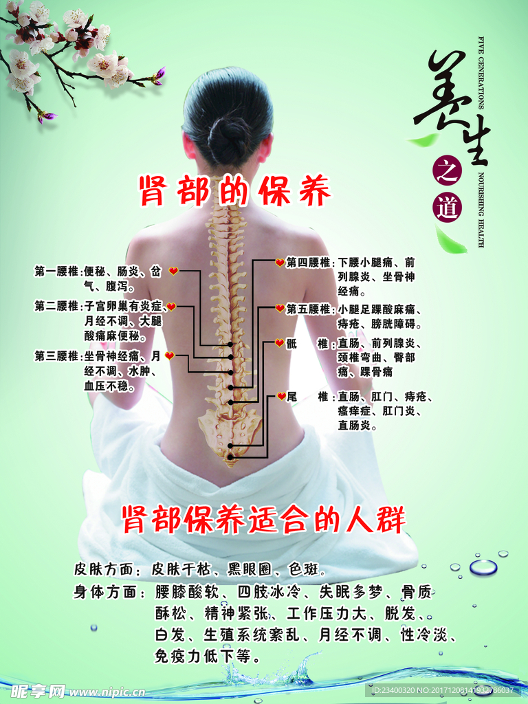 肾部的保养