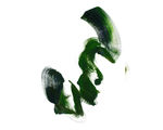 抽象毛笔刷