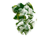 抽象毛笔刷