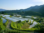 梯田背景