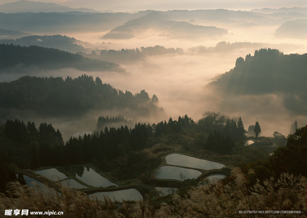 梯田背景