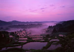 梯田背景