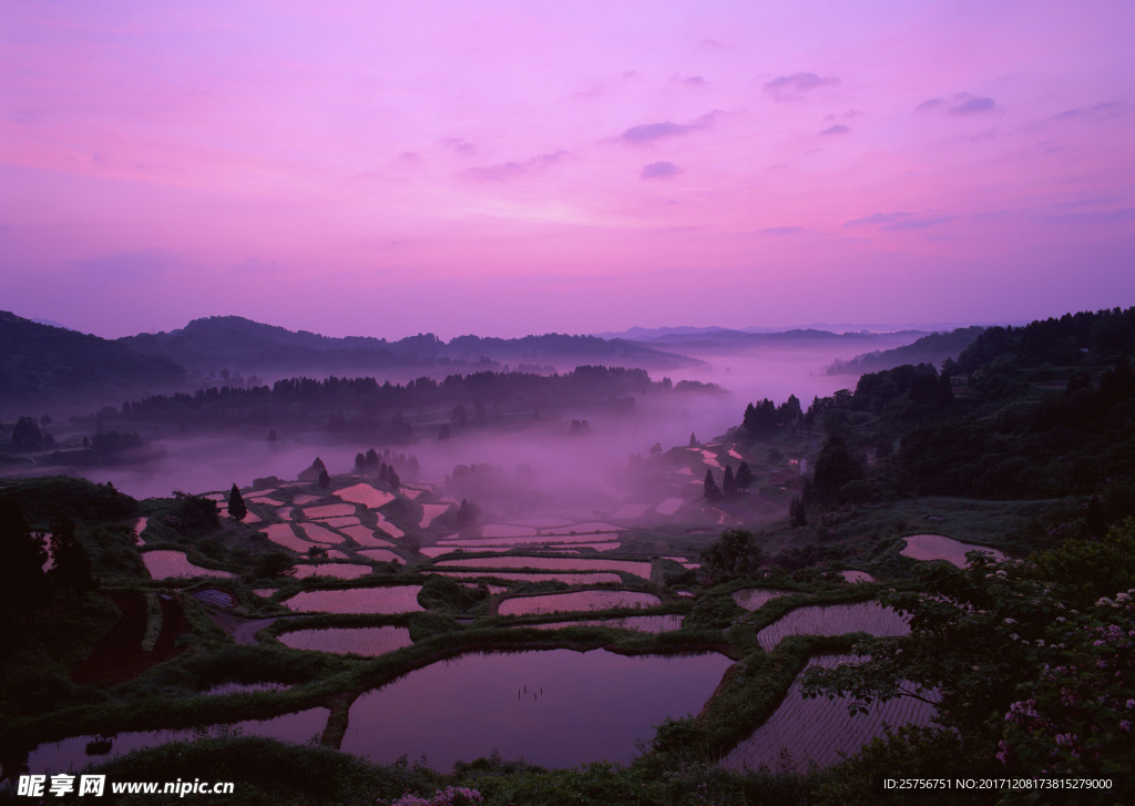 梯田背景