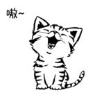 小奶猫