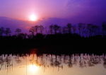 夕阳倒影