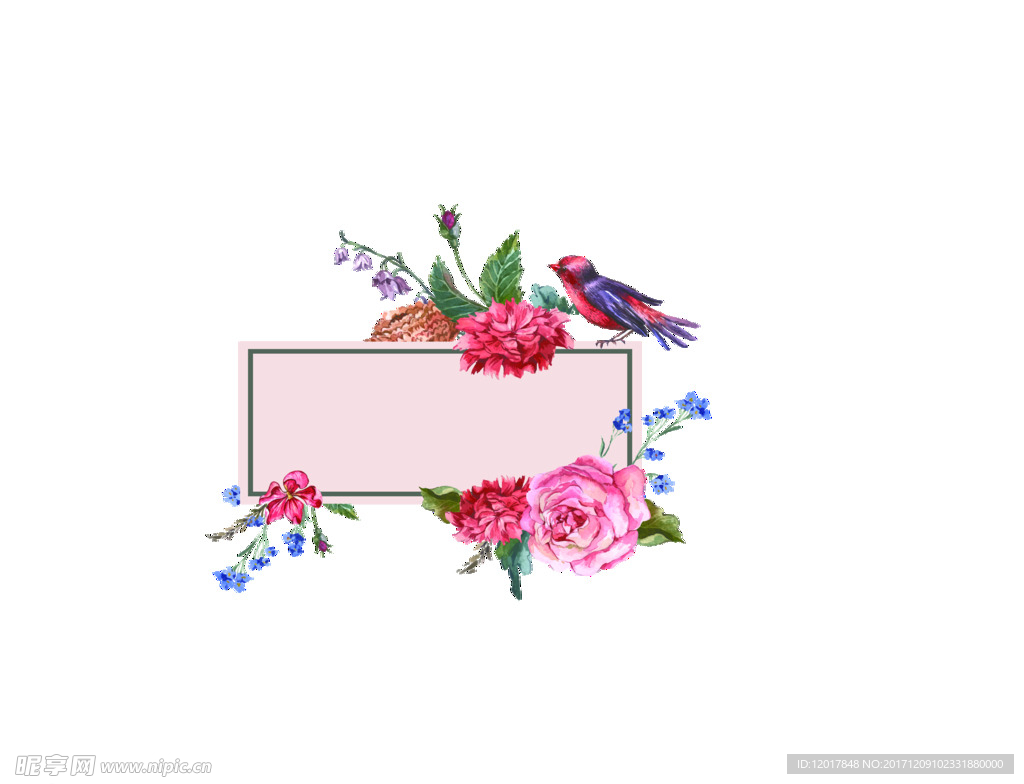 花鸟手绘