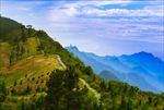 高山草场