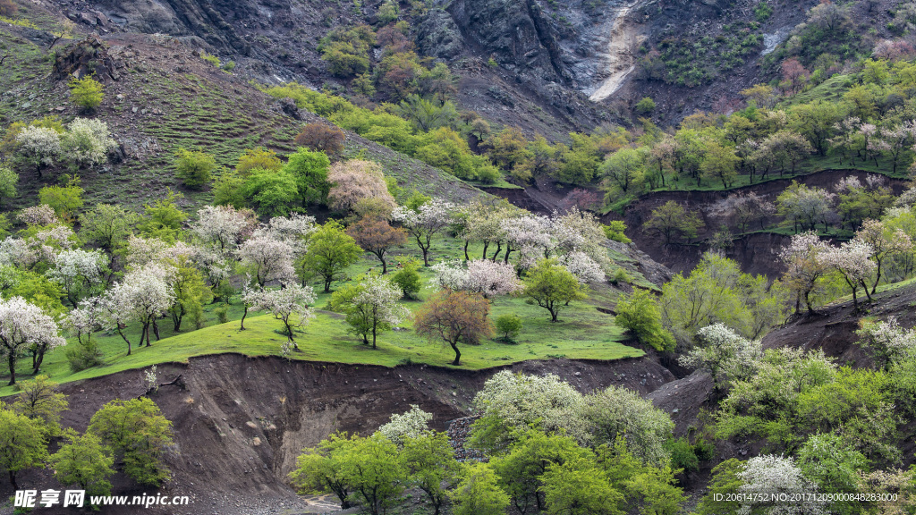 大山风光