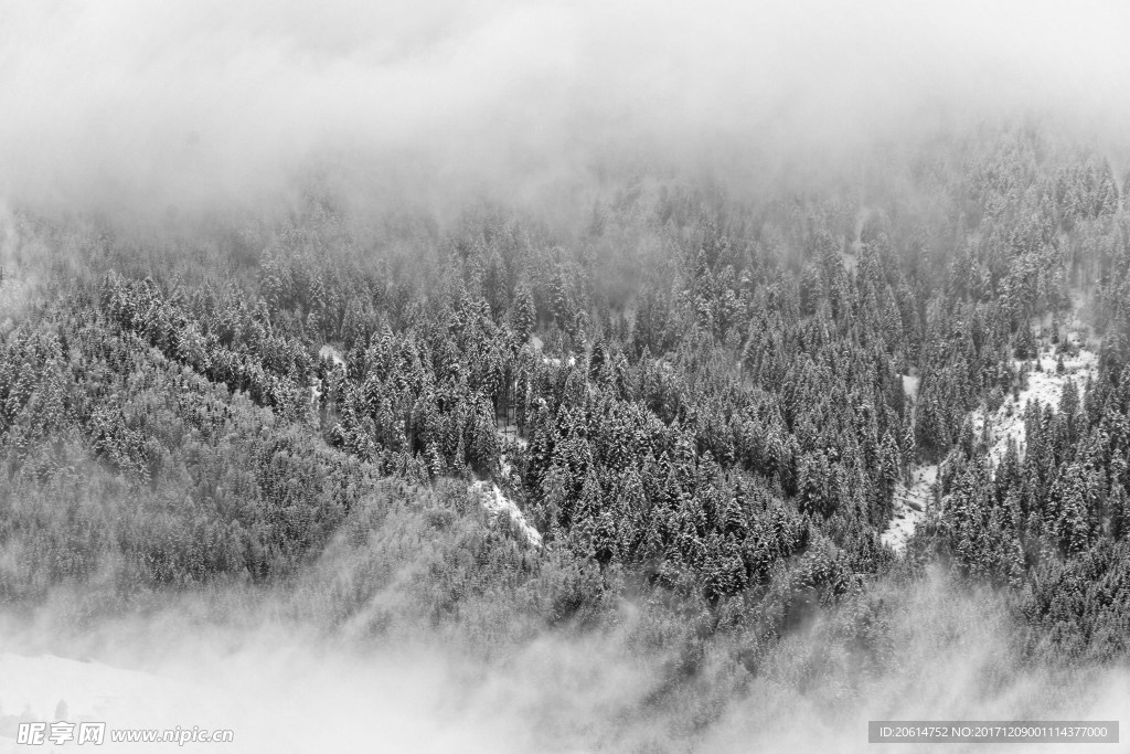 高山风光