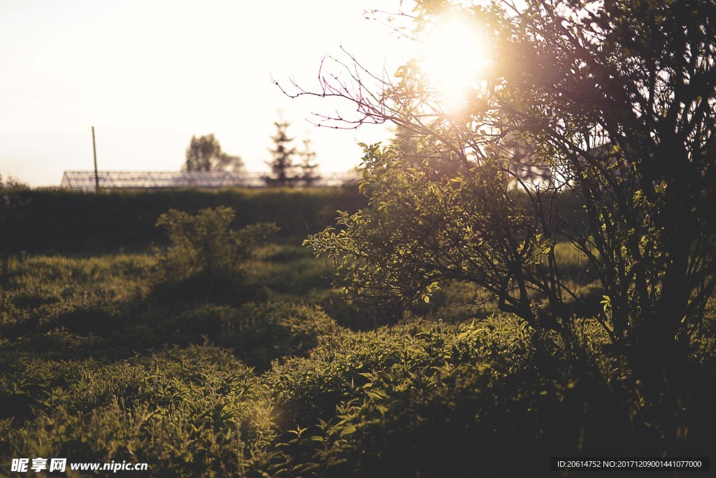 夕阳下的乡村风景