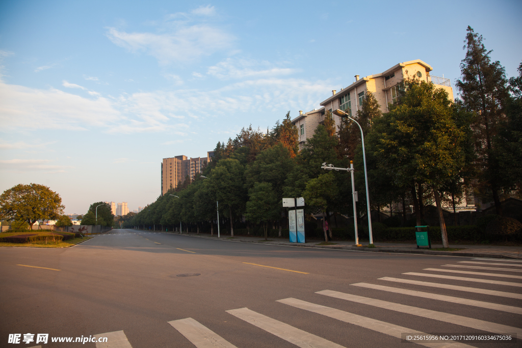 中南大学