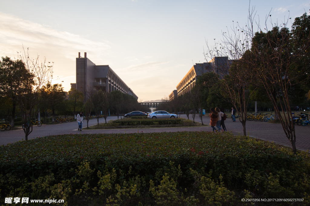 中南大学