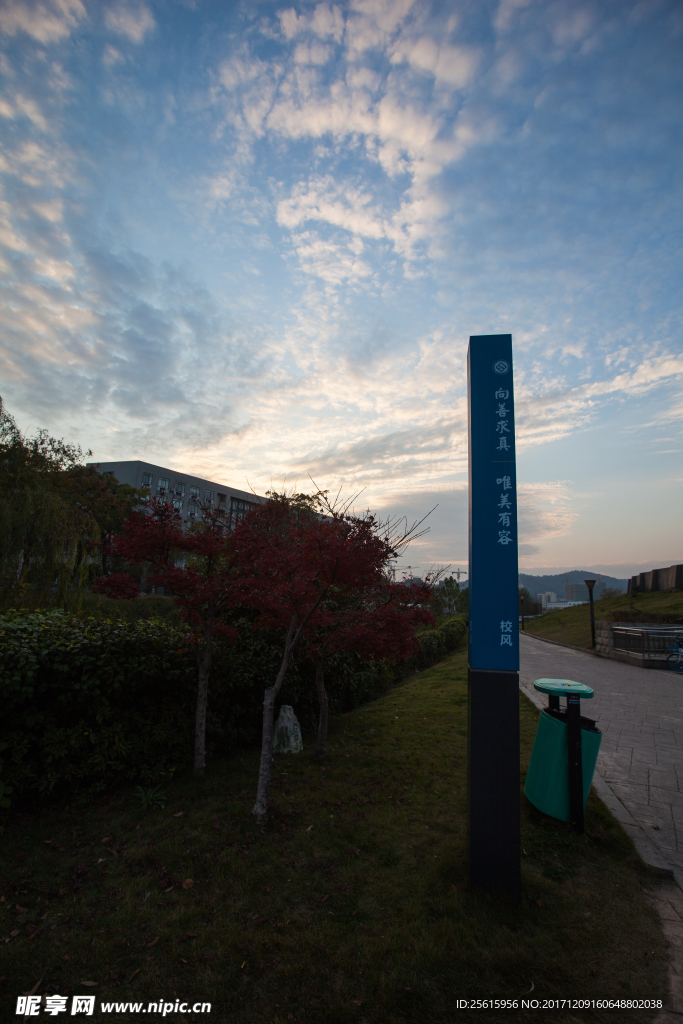 中南大学