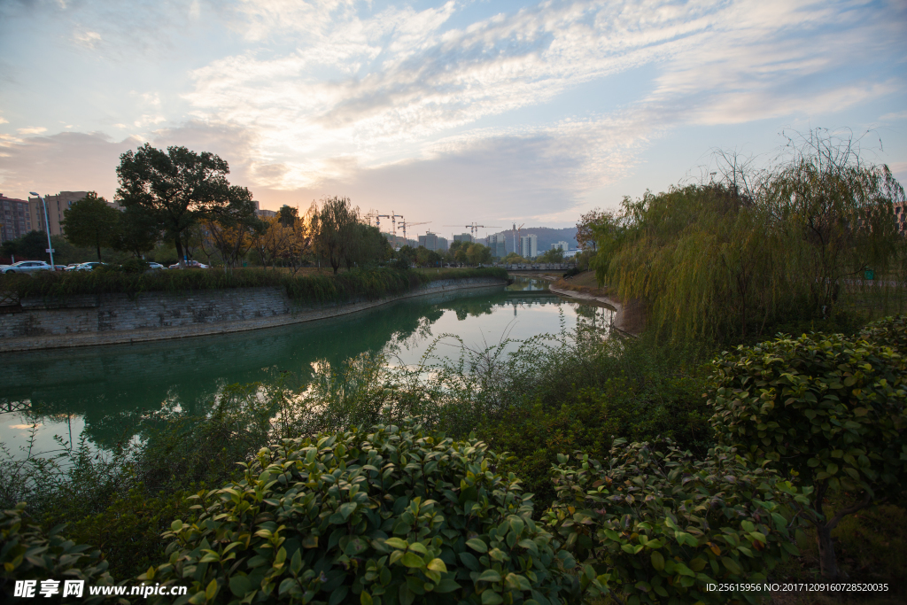 中南大学