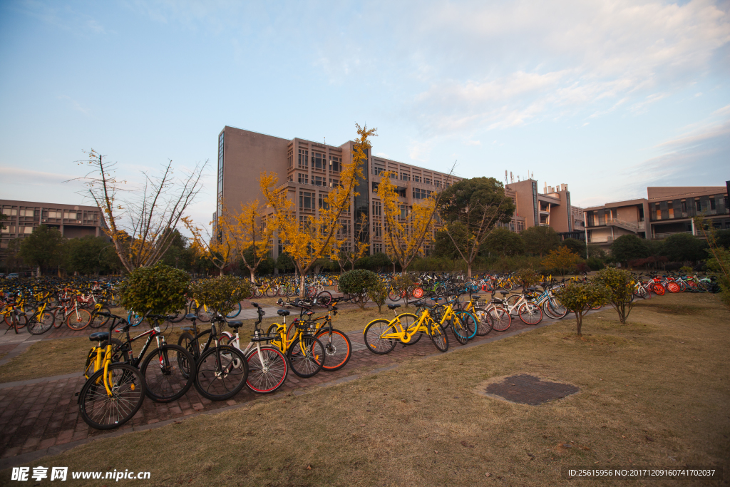 中南大学