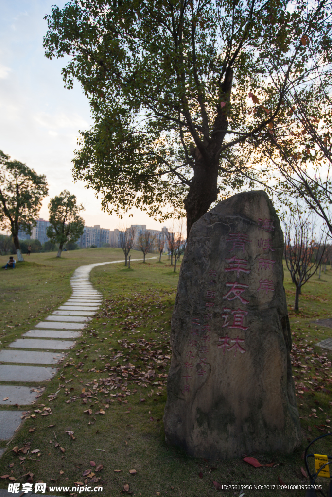 中南大学