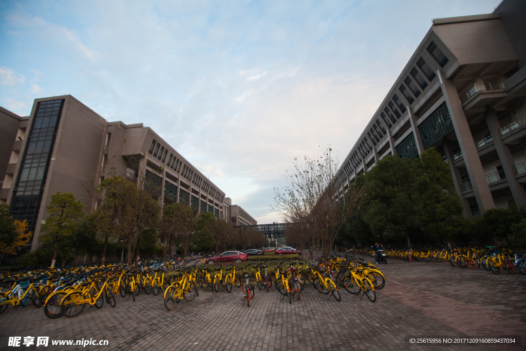 中南大学