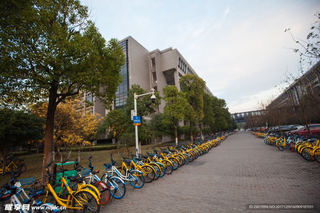 中南大学