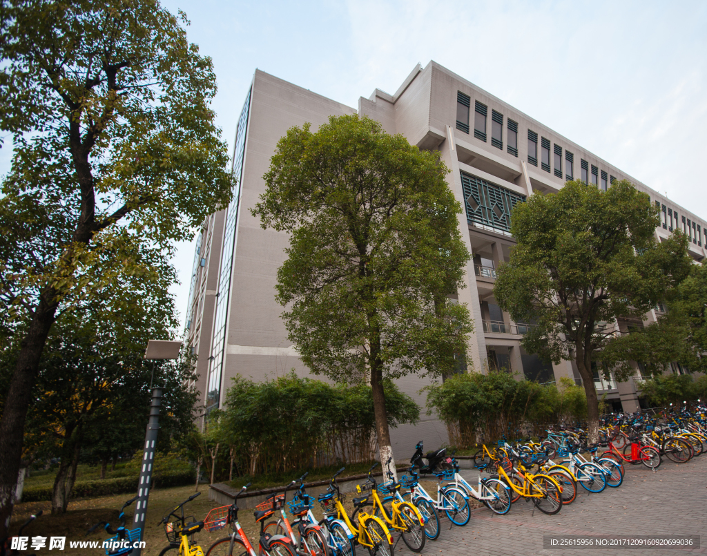中南大学