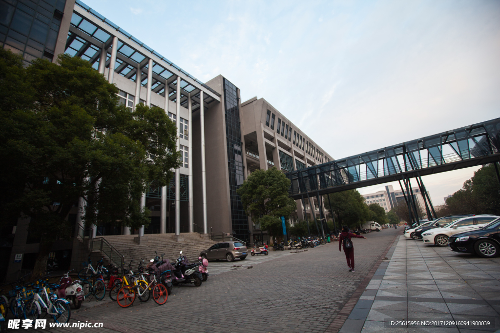 中南大学