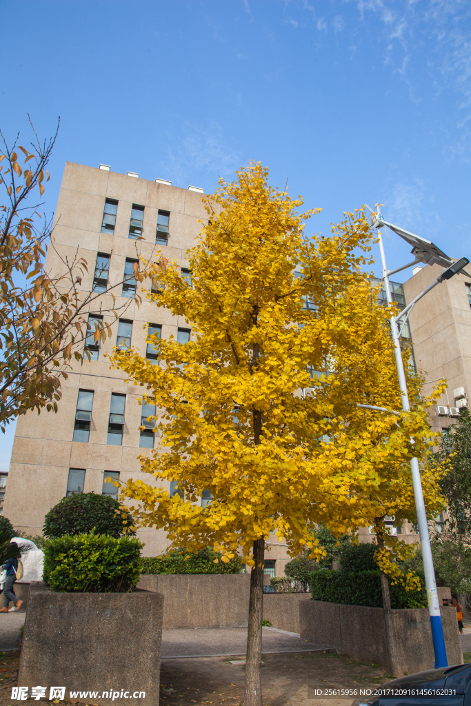 湖南大学