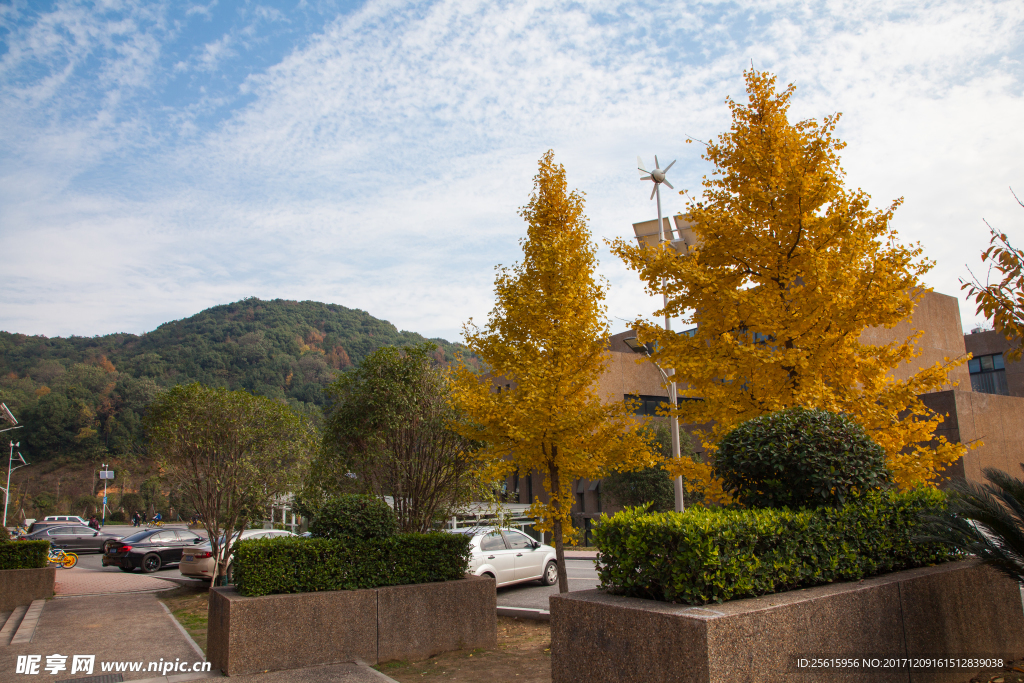 湖南大学