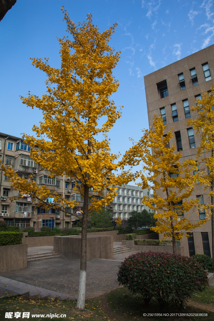 湖南大学