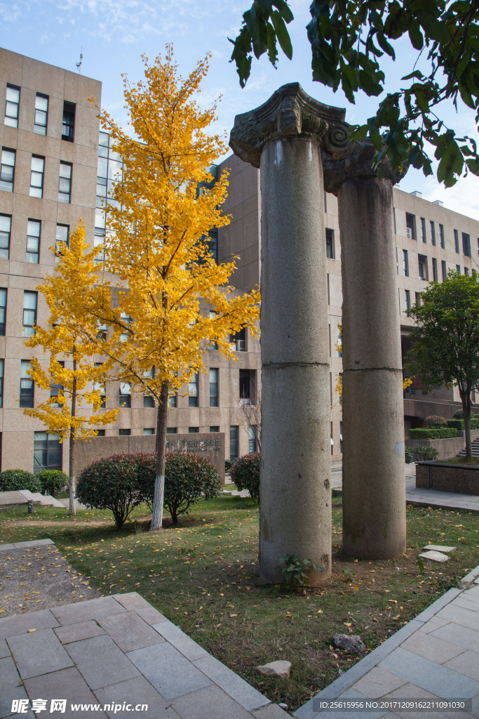 湖南大学