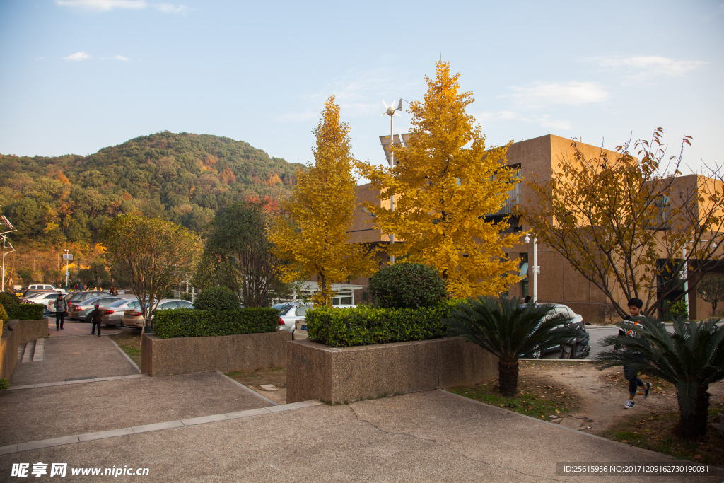 湖南大学