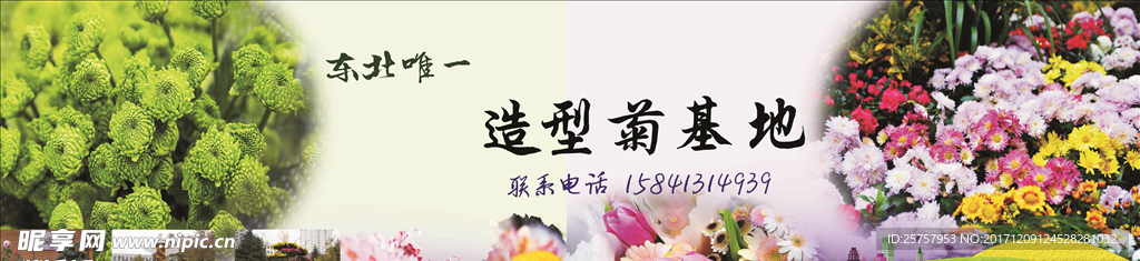 鲜花背景国画