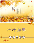 秋分节气海报