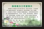 保亮[视力简介