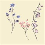 手绘花图片