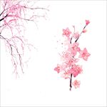手绘花图片