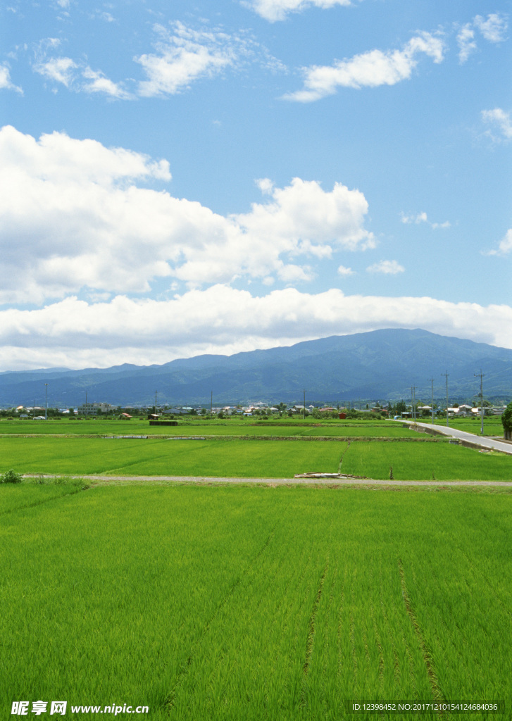 农田