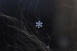 雪花
