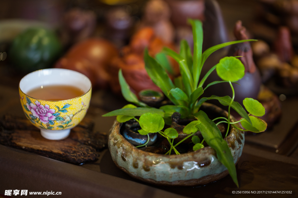 茶水