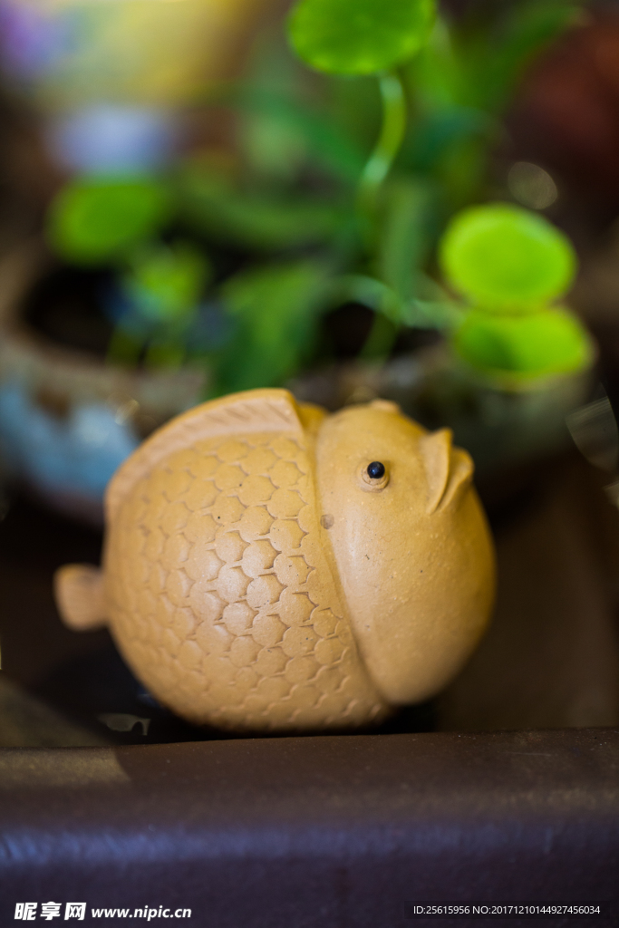 茶宠