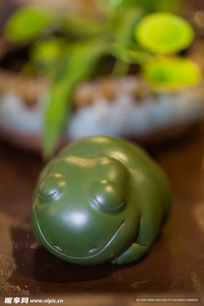 茶宠