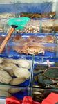 海鲜