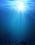 海底世界 水下素材