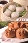 灯箱片