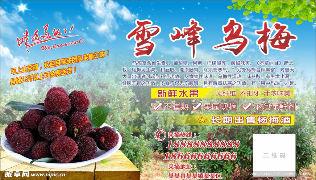 乌梅海报