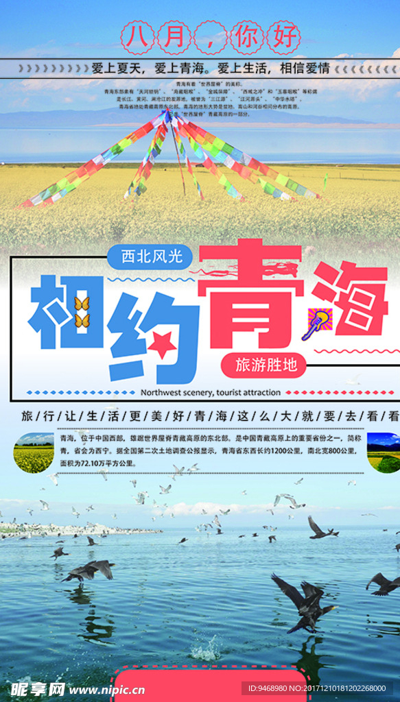 旅游展架