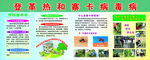 登革热和寨卡病毒病