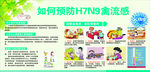 如何预防H7N9禽流感