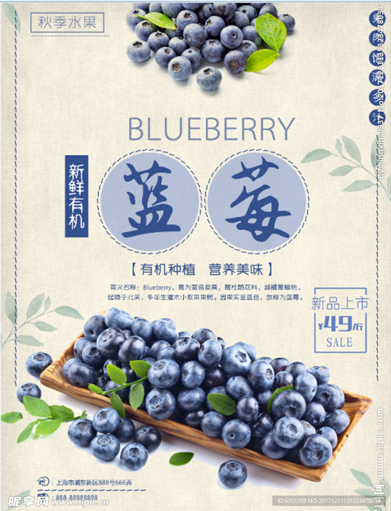 蓝莓新鲜上市海报