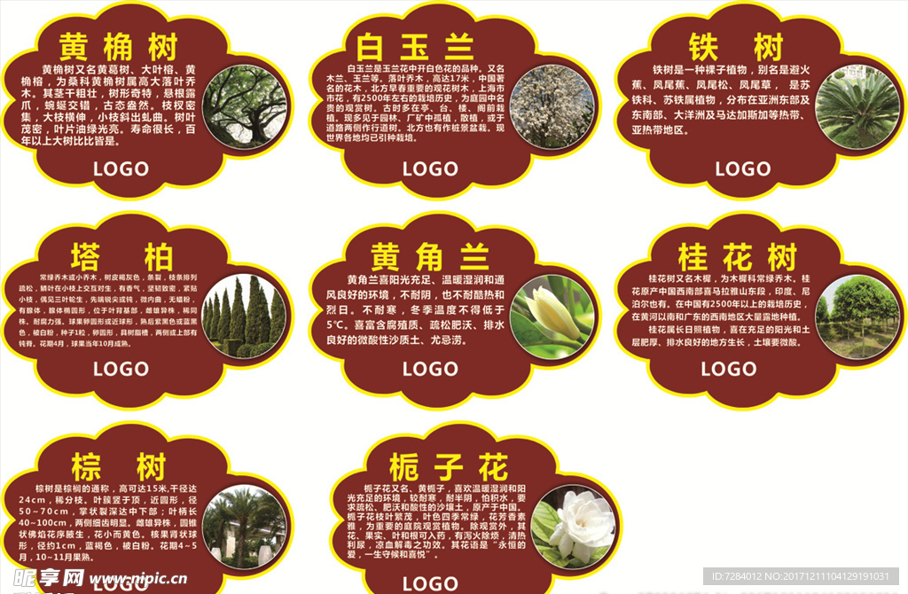 植物介绍